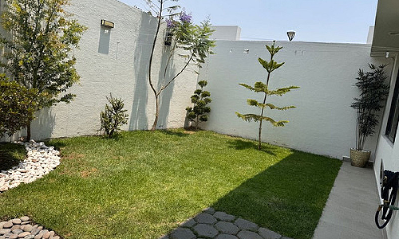 Casa En Renta Fracc ...