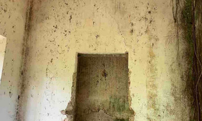 Ex Hacienda Henequen...