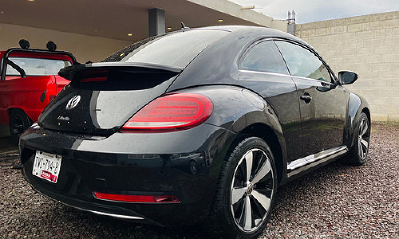 Beetle Final Edition...