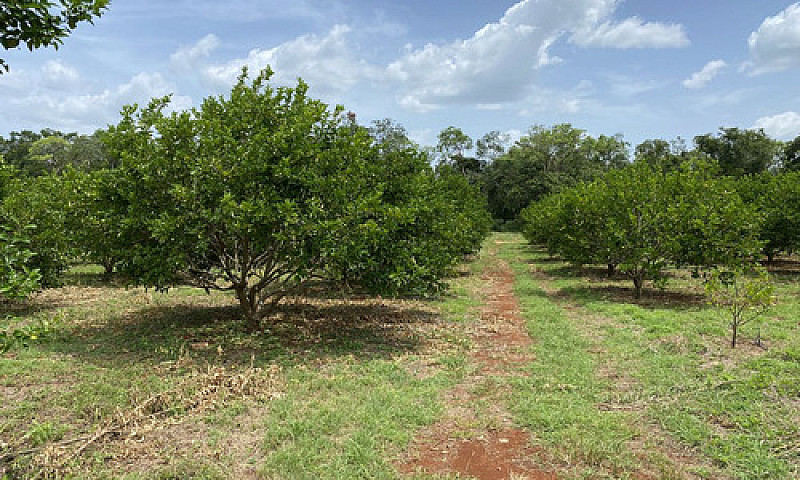 Rancho  Agrícola En ...