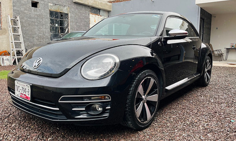 Beetle Final Edition...