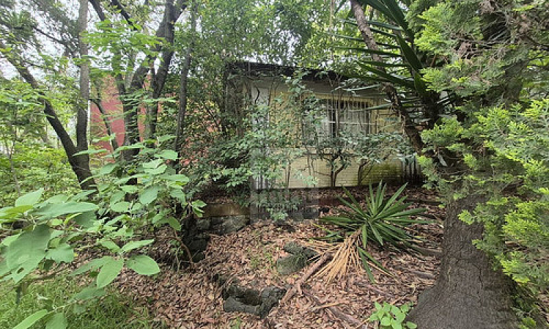 Jardines Del Ajusco ...