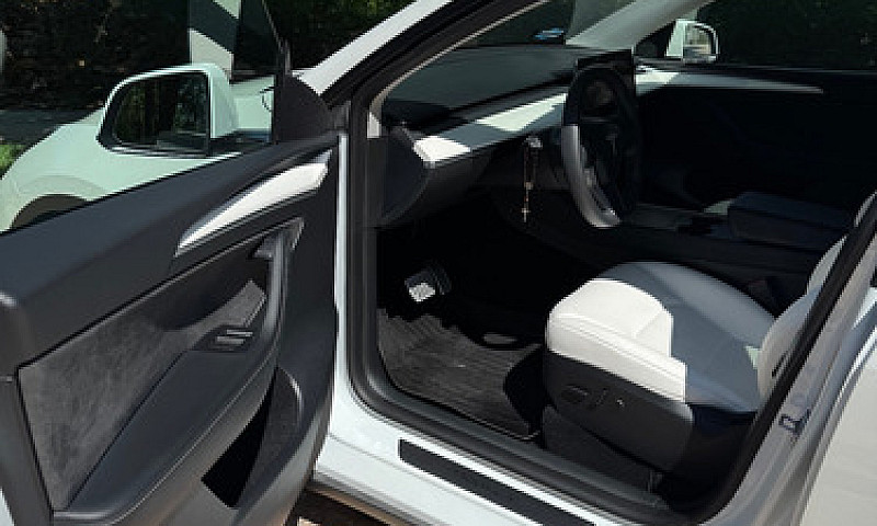 Tesla Model Y Perfor...