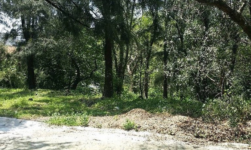 Terreno En Venta En ...