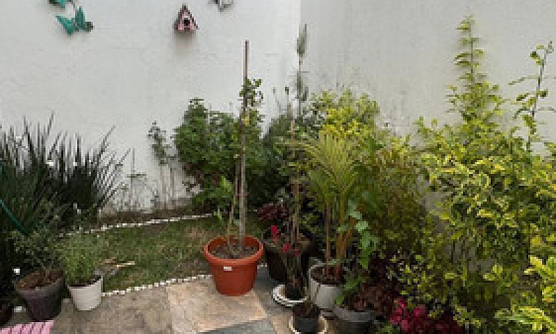 Casa En Venta, Lázar...