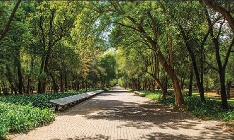 Rincón Polanco...