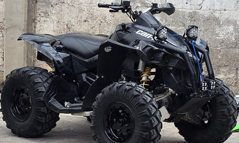 Can Am Renegade 800 ...