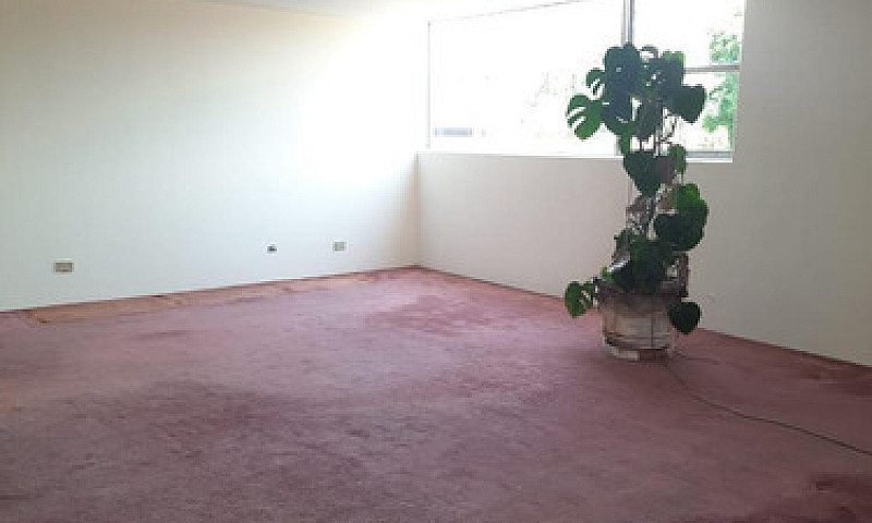 Casa En Venta-Renta,...