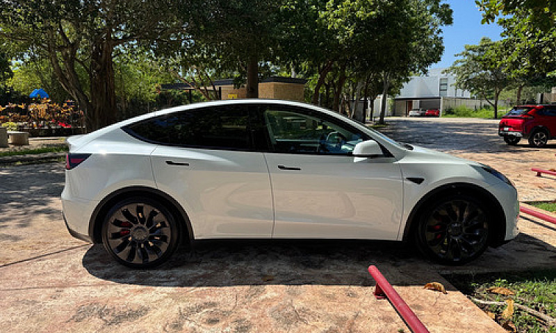 Tesla Model Y Perfor...