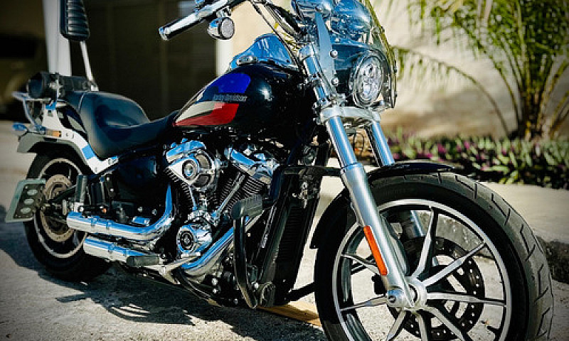 Harley-Davidson Soft...