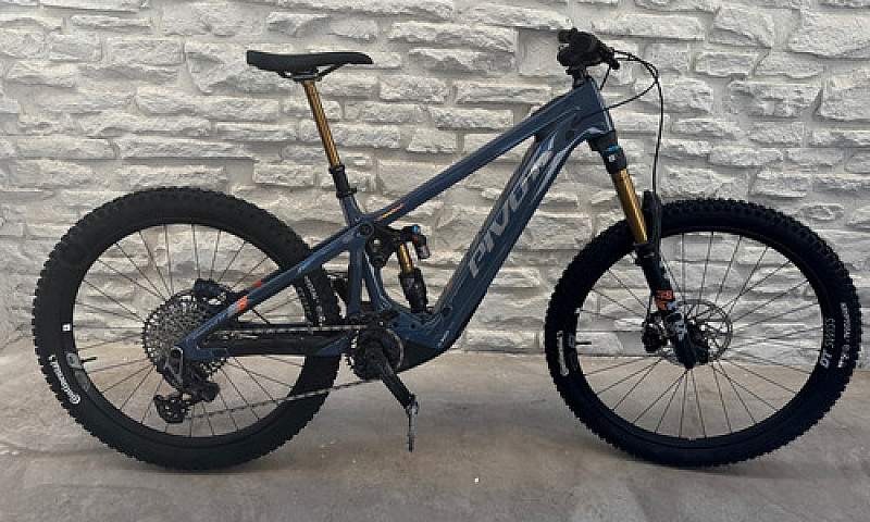 Ebike Pivot Shuttle ...