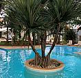 Casa En Venta Con Alberca Privada En Residencial La Joya En Playa Del Carmen