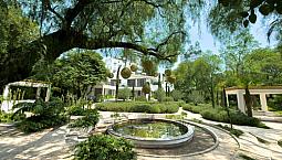 Estrena Casa En Venta Cerca San Angel Con Jardin Col Campestre