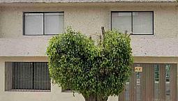 Departamento En Cafetales, Coyoacán Con 3 Recámaras, 95 M², Id: 119697