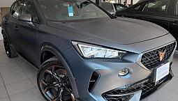 Cupra Formentor 2.0 Vz 310Hp 4Wd Dsg7