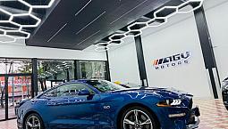 Ford Mustang 5.0L Gt V8 At