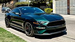 Fort Mustag Bullitt