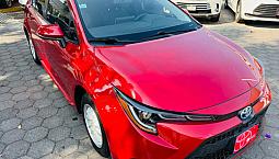 Toyota Corolla 2021