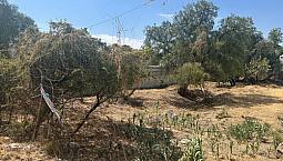 Terreno En Venta Villas Del Meson