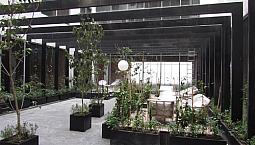 Oficina En Venta 80 M2 - Financiamiento Disponible | Bosques Santa Fe Cdmx