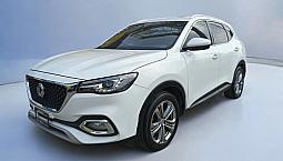 Mg Hs 2021