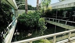 Venta Casa Con Uso De Suelo Para Oficinas En Lomas De Reforma, Miguel Hidalgo