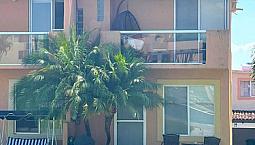 Casa En Venta, Xochitepec, 2 Recámaras