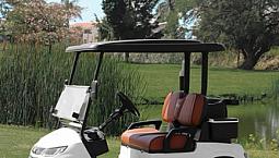 Carro De Golf Premium - Sonido, Litio, Luces Y Comodidad
