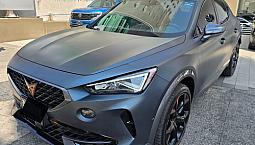 Cupra Formentor 2.0 Vz 310Hp 4Wd Dsg7
