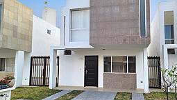 Casa En Venta, Fraccionamiento Bosques De San Juan
