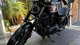 Harley Davidson Sportster Iron Xl 883 2021