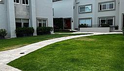 Casa En Venta En Tecamachalco