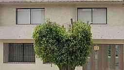 Departamento En Cafetales, Coyoacán Con 3 Recámaras, 95 M², Id: 119697