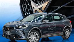 Cupra Formentor 2.0 190Hp 2Wd Dsg7