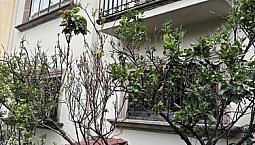 Casa En Venta En Colonia Del Valle