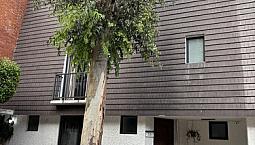 Venta Casa En Condominio En Colonia Tetelpan