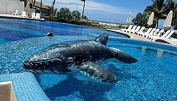 Departamento Con Club De Playa Privado En Zona Diamante Acapulco - Auriga Pb
