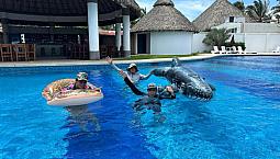 Departamento En Renta Amueblado Con Alberca Y A Unos Pasos D