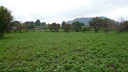 Terreno En Ozumba De Álzate, Superficie 330 Metros Cuadrados