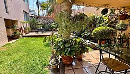 Venta Casa Col Jacarandas Súper Ubicación