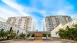 Departamento En Venta/Renta En Mérida, Vía Montejo Torre Atlántida Vista Sur