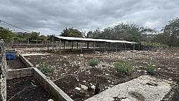 Rancho Ganadero Y Agrícola En Campeche