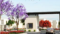 Allegra Valle Condesa