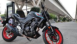 Mt 03 2022, Color Gris Pastel Rines Orange