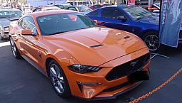 Ford Mustang 5.0L Gt V8 At
