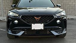 Cupra Formentor 2.0 Vz 310Hp 4Wd Dsg7