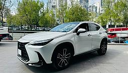 Lexus  Nx  2022