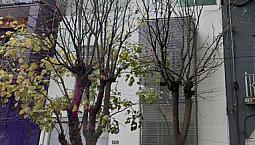 Departamento En Remate Cerca A Metro Chapultepec En La Condesa