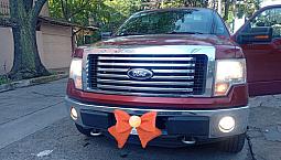 Ford F-150 5.0 Xlt Doble Cabina 4X4